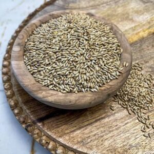 Canary Seed