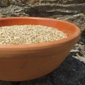 Milling Rye Grain