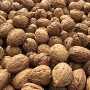 Shelled Walnut Kernels