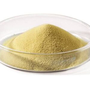 Yeast Extract Powder